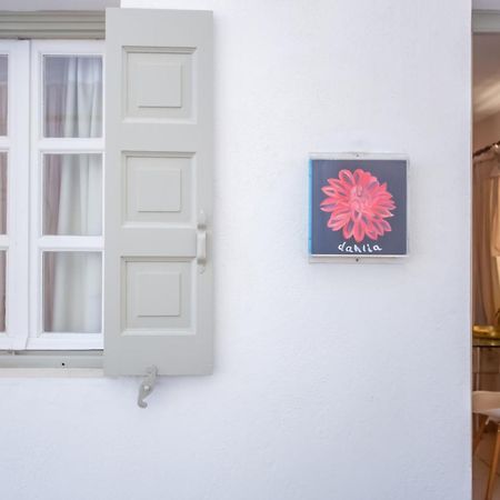 Sing And Blossom Accommodation Mykonos Town Dış mekan fotoğraf
