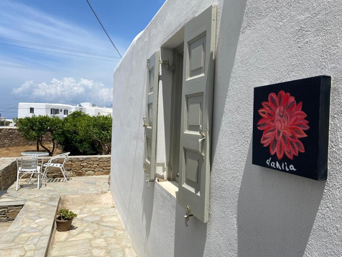 Sing And Blossom Accommodation Mykonos Town Dış mekan fotoğraf