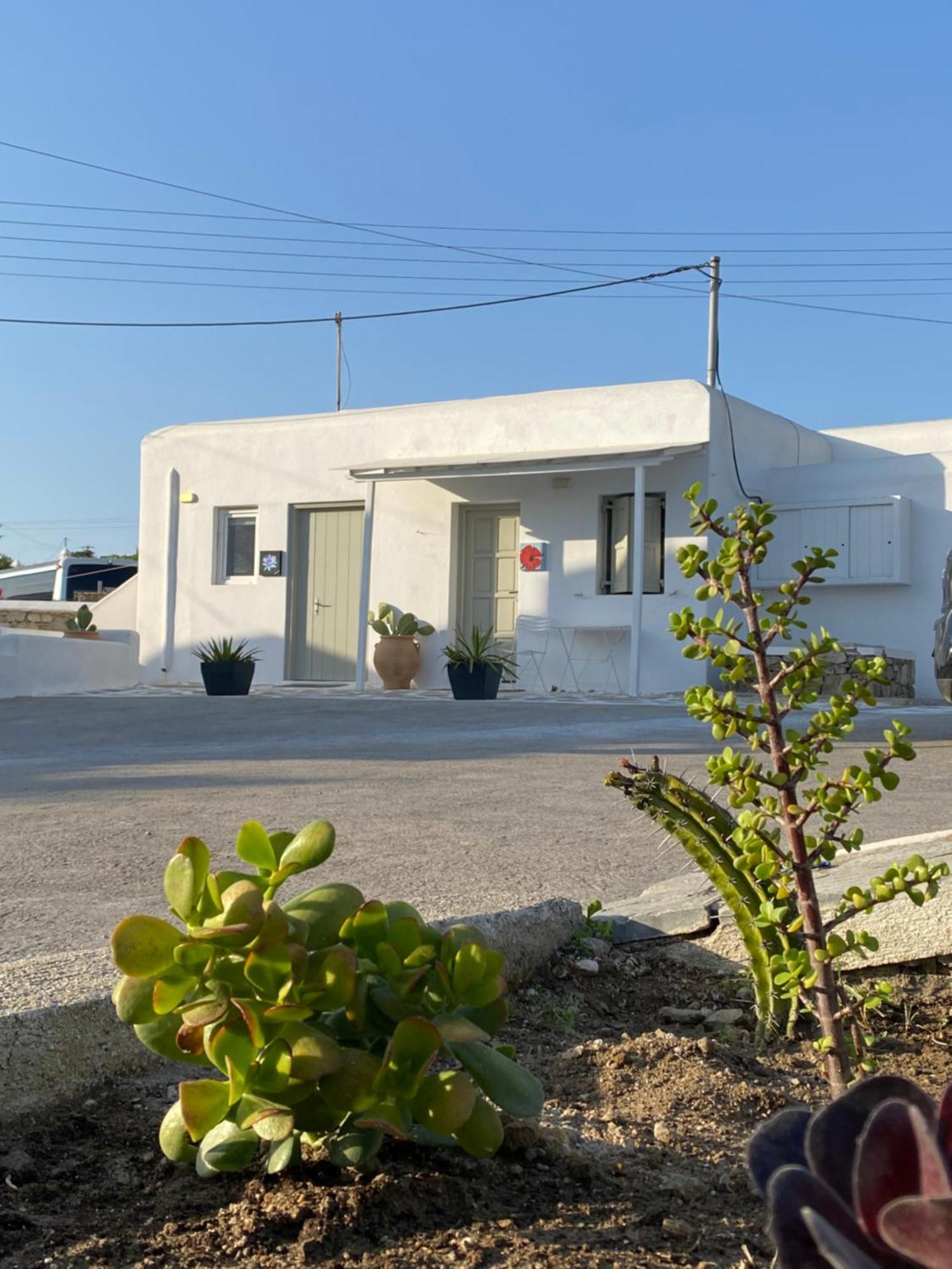 Sing And Blossom Accommodation Mykonos Town Dış mekan fotoğraf