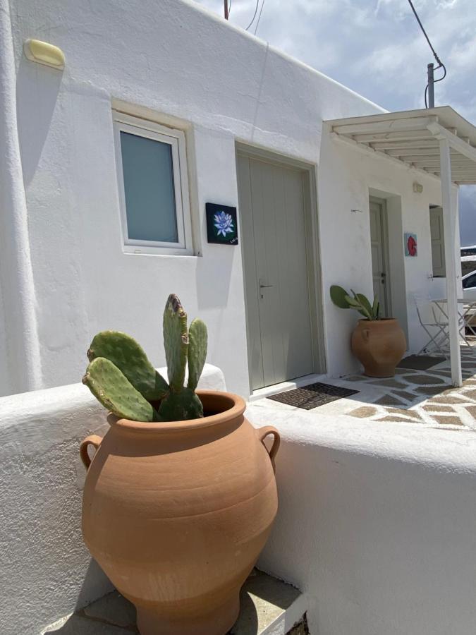 Sing And Blossom Accommodation Mykonos Town Dış mekan fotoğraf