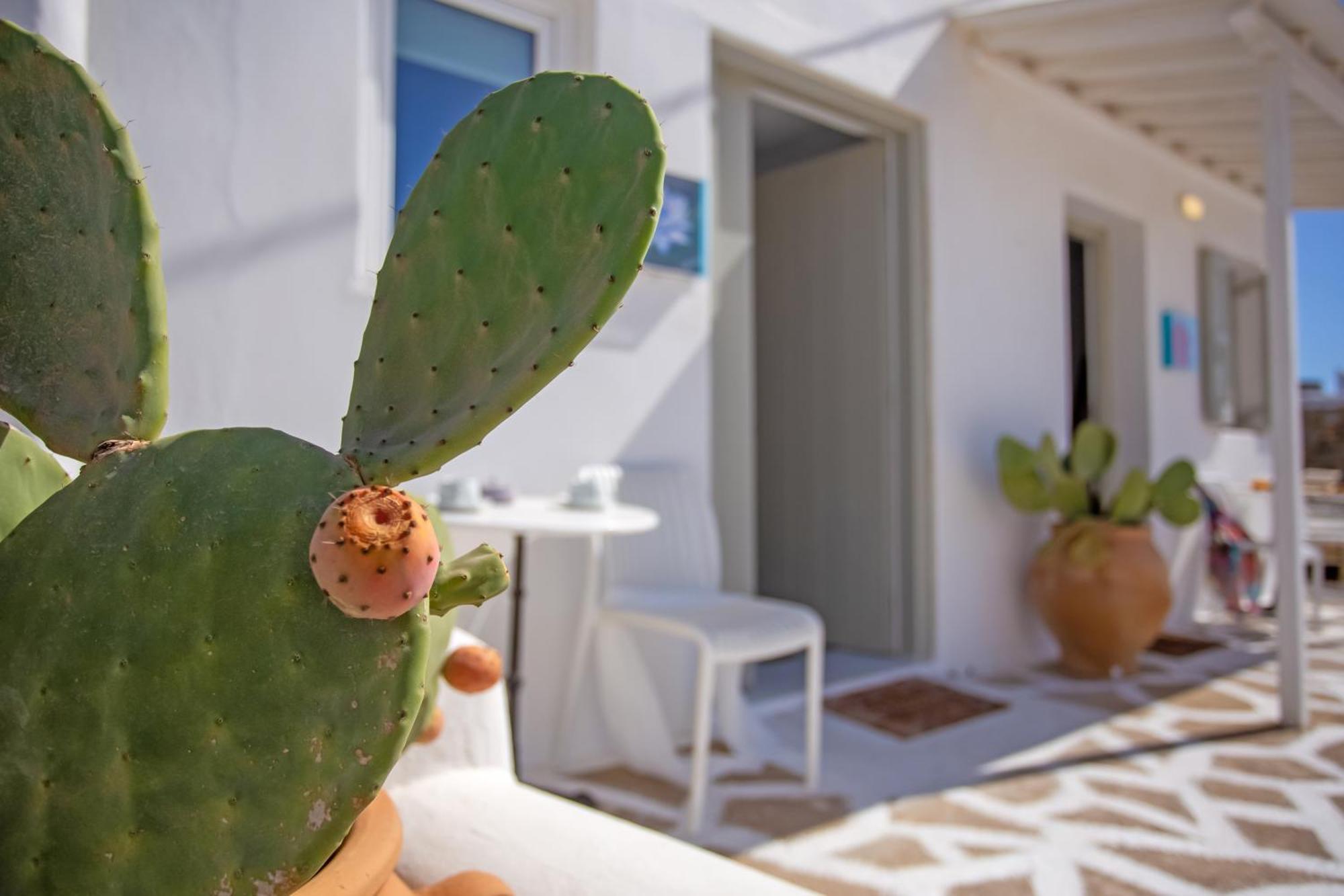 Sing And Blossom Accommodation Mykonos Town Dış mekan fotoğraf